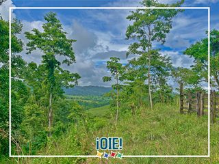Foto 1 de Se vende: Finca Agricola/Ganadera, Ubicada en TURRIAGA, del Cantón 