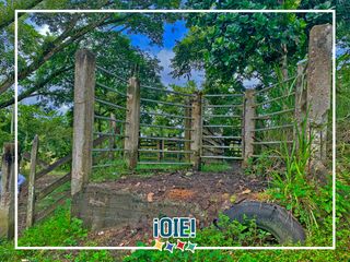 Foto 9 de Se vende: Finca Agricola/Ganadera, Ubicada en TURRIAGA, del Cantón 