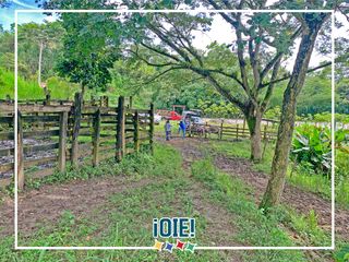 Foto 8 de Se vende: Finca Agricola/Ganadera, Ubicada en TURRIAGA, del Cantón 