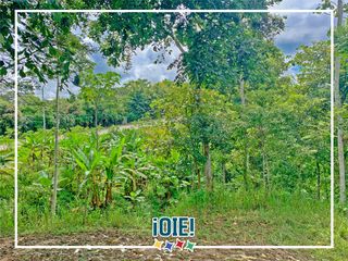 Foto 4 de Se vende: Finca Agricola/Ganadera, Ubicada en TURRIAGA, del Cantón 