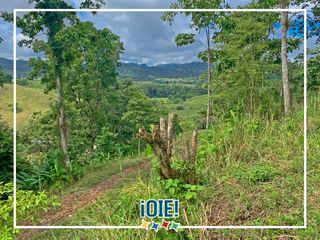 Foto 6 de Se vende: Finca Agricola/Ganadera, Ubicada en TURRIAGA, del Cantón 