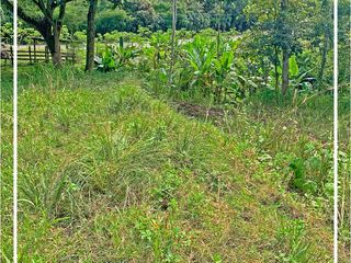 Foto 14 de Se vende: Finca Agricola/Ganadera, Ubicada en TURRIAGA, del Cantón 