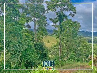 Foto 5 de Se vende: Finca Agricola/Ganadera, Ubicada en TURRIAGA, del Cantón 