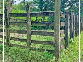 Foto 13 de Se vende: Finca Agricola/Ganadera, Ubicada en TURRIAGA, del Cantón 