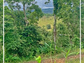 Foto 12 de Se vende: Finca Agricola/Ganadera, Ubicada en TURRIAGA, del Cantón 