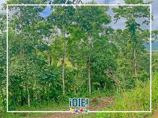Foto 3 de Se vende: Finca Agricola/Ganadera, Ubicada en TURRIAGA, del Cantón 
