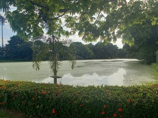 Foto 16 de Lote en venta en exclusivo conjunto en Ricaurte- Cundinamarca