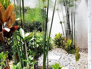 Alquiler de Suite Parque de Cumbayá, Valle de Cumbayá