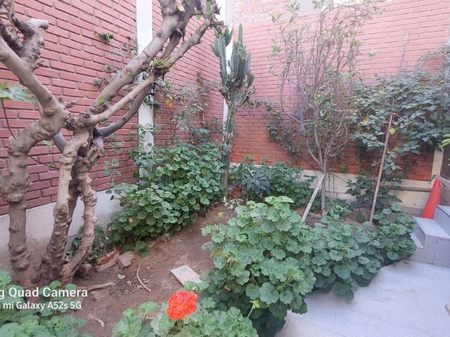 VENDO EXCELENTE CASA EN URB EL PALACIO SACHACA