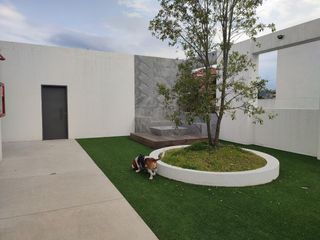 Venta o Alquiler Departamento Amoblado Nuevo - Bellavista 104 m². Mas Patio 62 m².