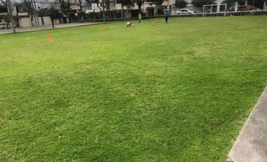 place photo 22