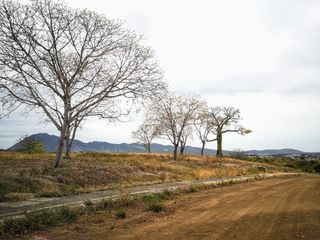 Foto 14 de VENTA TERRENO, SECTOR LA TEJEDORA, A 5 MINUTOS DEL AEROPUERTO ELOY ALFARO DE MANTA, TRAMO 3 VÍA CIRCUNVALACIÓN