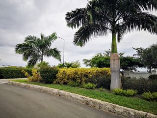 Foto 4 de VENTA TERRENO, SECTOR LA TEJEDORA, A 5 MINUTOS DEL AEROPUERTO ELOY ALFARO DE MANTA, TRAMO 3 VÍA CIRCUNVALACIÓN