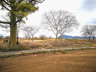 Foto 13 de VENTA TERRENO, SECTOR LA TEJEDORA, A 5 MINUTOS DEL AEROPUERTO ELOY ALFARO DE MANTA, TRAMO 3 VÍA CIRCUNVALACIÓN
