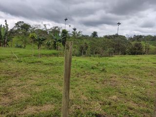 Vendo quinta de 03 hectáreas, sector La Libertad del Toachi, Santo Domingo
