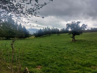 Foto 4 de LINDA HACIENDA GANADERA ZONA SUR DE MACHACHI