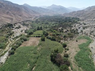 Terreno EN VENTA de 22.6 hectáreas en Coayllo, Asia club campestre, proyecto agrícola