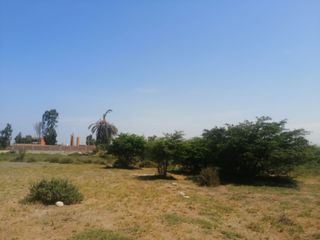 Foto 4 de TERRENO PARA DESARROLLO