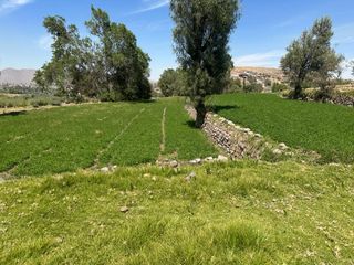 Foto 2 de Se Vende Terreno Agrícola En Sabandía Ideal Para Inversión