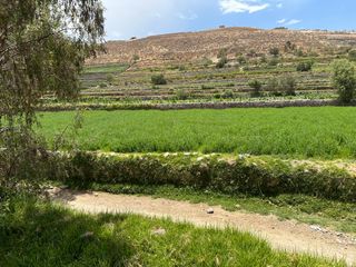 Foto 4 de Se Vende Terreno Agrícola En Sabandía Ideal Para Inversión