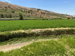 Foto 5 de Se Vende Terreno Agrícola En Sabandía Ideal Para Inversión
