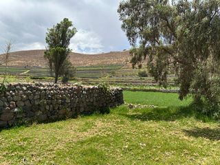 Foto 6 de Se Vende Terreno Agrícola En Sabandía Ideal Para Inversión