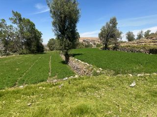 Foto 3 de Se Vende Terreno Agrícola En Sabandía Ideal Para Inversión