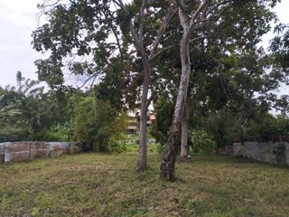 Foto 3 de VENDO TERRENO EN MALECON CUMBAZA 1,204 M² MORALES TARAPOTO