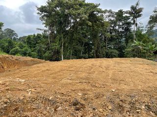 Foto 5 de Terreno en venta en Pedro Vicente Maldonado, de 1000 m2, Ecuador