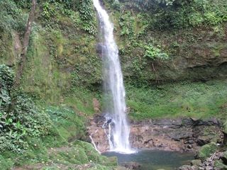 Foto 12 de Terreno en venta en Pedro Vicente Maldonado, de 1000 m2, Ecuador