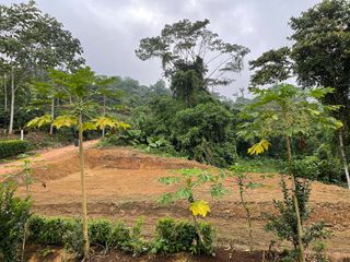 Foto 2 de Terreno en venta en Pedro Vicente Maldonado, de 1000 m2, Ecuador