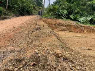 Foto 6 de Terreno en venta en Pedro Vicente Maldonado, de 1000 m2, Ecuador
