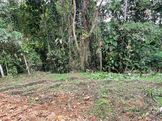 Foto 9 de Terreno en venta en Pedro Vicente Maldonado, de 1000 m2, Ecuador