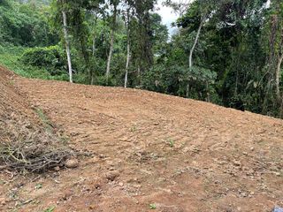 Foto 10 de Terreno en venta en Pedro Vicente Maldonado, de 1000 m2, Ecuador