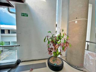 Foto 2 de VENTA LOCAL COMERCIAL PEÑALISA MALL, RICAURTE, CUNDINAMARCA, COLOMBIA L4