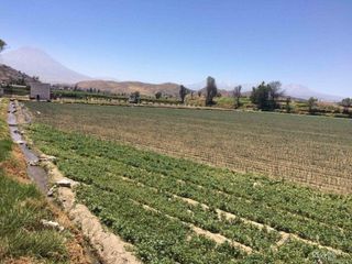 Foto 2 de Terreno en venta