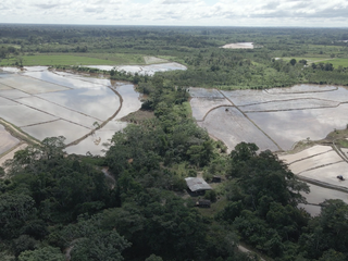 Foto 4 de VENDO TERRENO AGRICOLA INDUSTRIAL EN TARAPOTO PERÚ