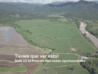 Foto 2 de VENDO TERRENO AGRICOLA INDUSTRIAL EN TARAPOTO PERÚ