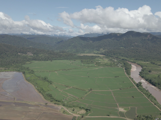 Foto 5 de VENDO TERRENO AGRICOLA INDUSTRIAL EN TARAPOTO PERÚ