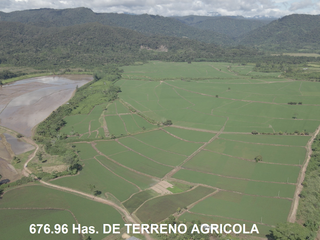Foto 12 de VENDO TERRENO AGRICOLA INDUSTRIAL EN TARAPOTO PERÚ