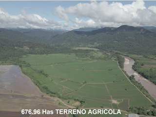 Foto 1 de VENDO TERRENO AGRICOLA INDUSTRIAL EN TARAPOTO PERÚ