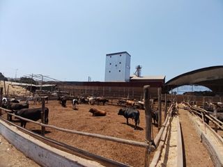 Foto 4 de VENDO TERRENO EN LURIN PARA USOS DIVERSOS