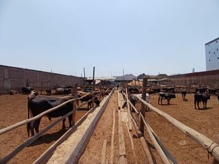 Foto 2 de VENDO TERRENO EN LURIN PARA USOS DIVERSOS