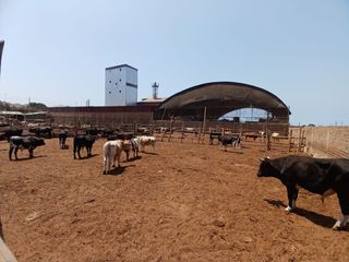 Foto 3 de VENDO TERRENO EN LURIN PARA USOS DIVERSOS