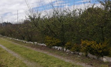 place photo 61