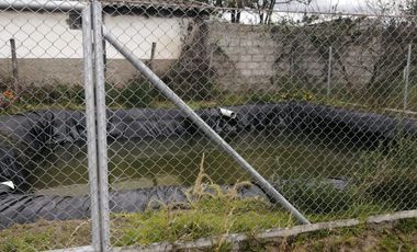 place photo 66