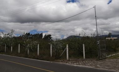 place photo 71