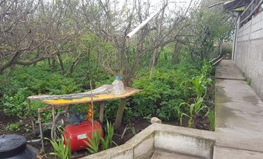place photo 60