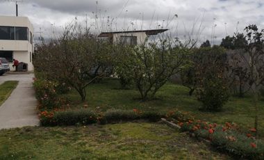 place photo 56