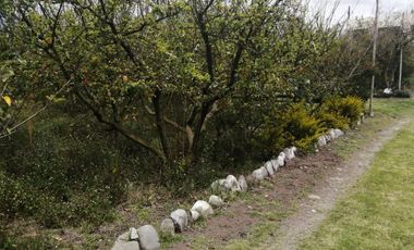 place photo 38